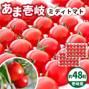yӂ邳Ɣ[Łzys\z܈ ~fBg}g 48 y2025N12ȍ~zssty̒z [JAE009] g}g ~fBg}g  Mtg v[g 蕨 15000 15000~