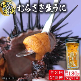 【ふるさと納税】【全3回定期便】生うに 60g 老舗の厳選 おさだの生うに《壱岐市》【長田商店】[JAO036] うに ウニ 雲丹 海鮮 魚介 54000 54000円