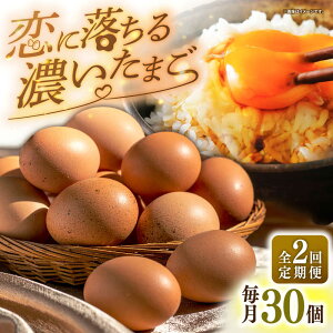 yӂ邳Ɣ[ŁzyS2ցzI fȗ܂ 30 ssty܂̂܂z  ܂ { ʎq Mtg Y  ܂ ̂ [JAP018]