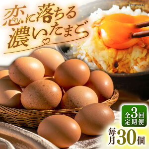 yӂ邳Ɣ[ŁzyS3ցzI fȗ܂ 30 ssty܂̂܂z  ܂ { ʎq Mtg Y  ܂ ̂ [JAP019]