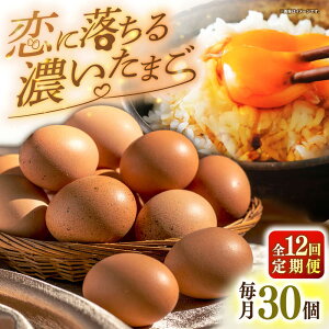 yӂ邳Ɣ[ŁzyS12ցzI fȗ܂ 30 ssty܂̂܂z  ܂ { ʎq Mtg Y  ܂ ̂ [JAP021]