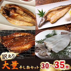【ふるさと納税】【訳あり】 干物 30〜35枚 《壱岐市》【馬渡水産】 干物 詰め合わせ 訳あり 訳アリ あじ アジ いわし イワシ かます カマス いか イカ さば サバ 鯵 鰯 鯖 冷凍 [JAQ009]
