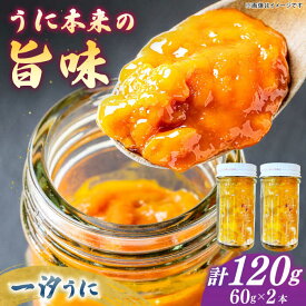【ふるさと納税】一汐うに 60g×2本 ≪壱岐市≫【馬渡水産】 [JAQ014] 生ウニ うに ウニ 雲丹 紫うに ムラサキウニ 海鮮 鮮魚