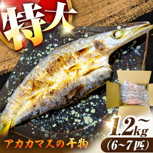 yӂ邳Ɣ[ŁzAJJ}X̊J  1.2kgȏ 6`7C[JAQ026]