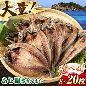 【ふるさと納税】【選べるお届け内容】あじ開きざんまい《壱岐市》【馬渡水産】[JAQ006] あじ アジ 鯵 ひもの 干物 海鮮 魚介