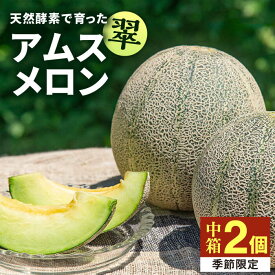 【ふるさと納税】母の日おすすめ【先行予約】アムスメロン「翠」 2玉（中箱）【2026年6月中旬以降順次発送】《壱岐市》【フレッシュメイト壱岐】[JAZ004] メロン めろん アムスメロン 果物 くだもの 果実 フルーツ デザート父の日 母の日