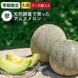 【ふるさと納税】【先行予約】アムスメロン「翠」 3〜6玉（大箱）【2026年6月中旬以降順次発送】《壱岐市》【フレッシュメイト壱岐】[JAZ005] メロン めろん アムスメロン 果物 くだもの 果実 フルーツ デザート ギフト 贈答 プレゼント 20000 20000円 2万円