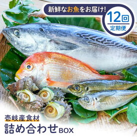 【ふるさと納税】【全12回定期便】壱岐産食材詰め合わせBOX「魚」[JBF023] 詰め合わせ セット 魚 鮮魚 240000 240000円 24万円 冷蔵配送