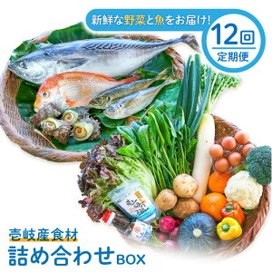 yӂ邳Ɣ[ŁzyS12ցzYHދlߍ킹BOXu؂Ƌv[JBF026] lߍ킹   N Zbg 504000 504000~ ①z