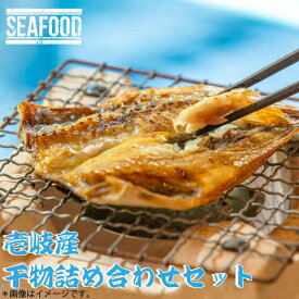 楽天市場 一夜 干し アオリイカの通販