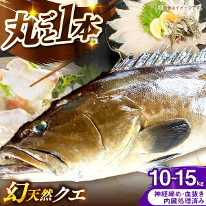 yӂ邳Ɣ[ŁzY@VRNG@ۂ1{@10kg`15kgsst y݂₰ Rz[JBJ020]