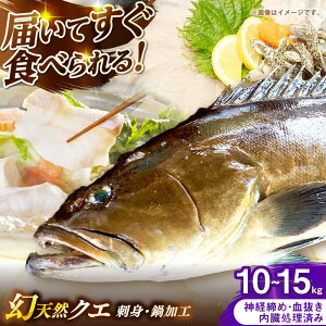 yӂ邳Ɣ[ŁzY@VRNG@hgEH@10kg`15kgsst y݂₰ Rz[JBJ022]