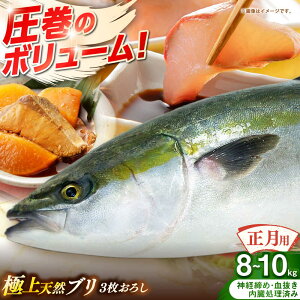 yӂ邳Ɣ[Łzypz@Y@VRu@3낵@8kg`10kgsst y݂₰ Rz[JBJ026]