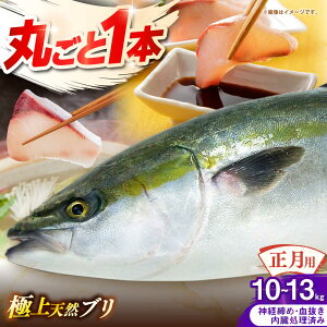 yӂ邳Ɣ[Łzypz@Y@VRu@ۂ1{@10kg`13kgsst y݂₰ Rz[JBJ027]