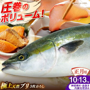 yӂ邳Ɣ[Łzypz@Y@VRu@3낵@10kg`13kgsst y݂₰ Rz[JBJ028]