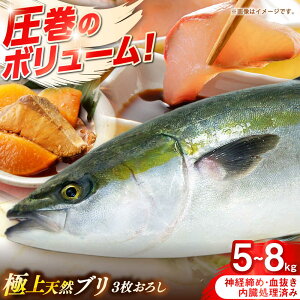 yӂ邳Ɣ[ŁzY@VRu@3낵@5kg`8kgsst y݂₰ Rz[JBJ030]