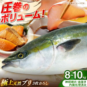 yӂ邳Ɣ[ŁzY@VRu@3낵@8kg`10kgsst y݂₰ Rz[JBJ032]