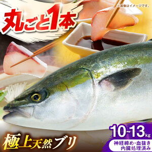 yӂ邳Ɣ[ŁzY@VRu@ۂ1{@10kg`13kgsst y݂₰ Rz[JBJ033]