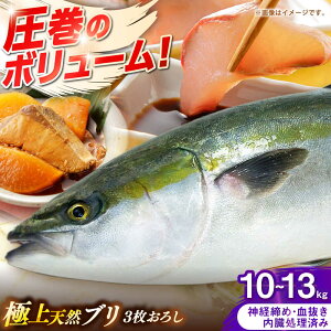 yӂ邳Ɣ[ŁzY@VRu@3낵@10kg`13kgsst y݂₰ Rz[JBJ034]