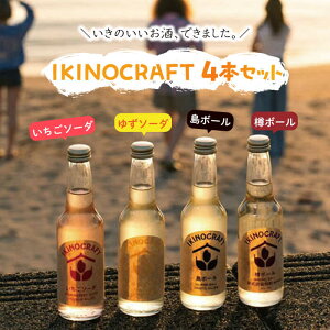yӂ邳Ɣ[ŁzyIKINOCRAFTz\[_E䂸\[_E{[EM{[ v4{ie1{jP[X ssty̑𑢁z   Ē Ē ނĒ JNe [JBK031] 10000 10000