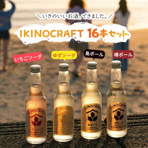 yӂ邳Ɣ[ŁzyIKINOCRAFTz\[_E䂸\[_EM{[E{[ v16{ie4{jP[X ssty̑𑢁z   Ē Ē ނĒ JNe [JBK032] 33000 33000