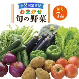 【ふるさと納税】【全2回定期便】旬の野菜セット 7品《壱岐市》【壱岐市農業協同組合】[JBO131] 季節 健康 栄養 やさい 詰め合わせ 20000 20000円 2万円