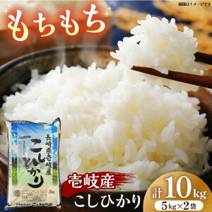 yӂ邳Ɣ[ŁzY Ђ 10kg sstys_Ƌgz    ٓ 퉷[JBO145] 31000 31000~