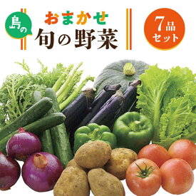 【ふるさと納税】旬の野菜 10品セット 《壱岐市》【壱岐市農業協同組合】[JBO001] 野菜 ベジタブル 食材 詰め合わせ 産地直送 野菜セット グルメ 春 夏 秋 冬 旬 サラダ 冷蔵 夏野菜 スムージー 10000 10000円 1万円 冷蔵配送