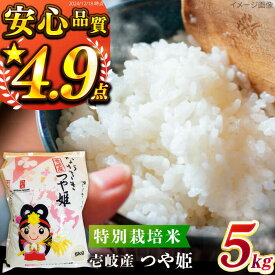 【ふるさと納税】【R7年度産米】壱岐産 つや姫 5kg 《壱岐市》【壱岐市農業協同組合】[JBO024] 米 お米 白米 5キロ ご飯 ごはん お弁当 朝食 17000 17000円