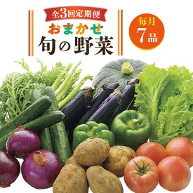 【ふるさと納税】【全3回定期便】旬の野菜 10品《壱岐市》【壱岐市農業協同組合】 [JBO044] 野菜 やさい 旬 季節 セット 詰め合わせ 産地直送 新鮮 サラダ スムージー 定期便 30000 30000円 3万円 冷蔵配送