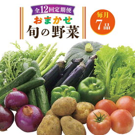 【ふるさと納税】【全12回定期便】旬の野菜セット 10品《壱岐市》【壱岐市農業協同組合】 [JBO046] 野菜 ベジタブル 食材 詰め合わせ 産地直送 野菜セット グルメ 春 夏 秋 冬 旬 サラダ 冷蔵 夏野菜 スムージー 定期便 120000 120000円 冷蔵配送