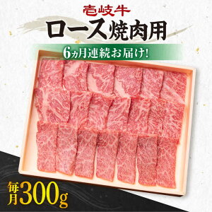 yӂ邳Ɣ[ŁzyS6ցzsA4`A5Nt [X 300giēpj[JBO072] Ⓚz јa A5N   [X ē Ă ēp Ԑg  BBQ 120000 120000~