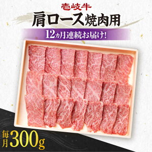 yӂ邳Ɣ[ŁzyS12ցzsA4`A5Nt  [X 300giēpjsstys_Ƌgz[JBO094] Ⓚz јa A5N   [X ē Ă BBQ 