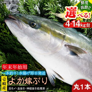 �y�ӂ邳�Ɣ[�Łz�y12/20�`��1/5���͂��z��򓇎Y�V�R���u�� �悩�łԂ�i�I�ׂ�4-14�L����E�ۂ��́j�s���s�t�y��� ���C���z[JBS130]