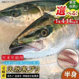【ふるさと納税】【11/1〜1/15お届け 年末年始用】天然 寒ブリ（一本丸ものサイズ4〜14キロ台の半身ブロック） 《壱岐市》【壱岐島　玄海屋】[JBS021] ぶり 寒ぶり ブリ 魚 刺身 しゃぶしゃぶ のし プレゼント ギフト 冷蔵配送