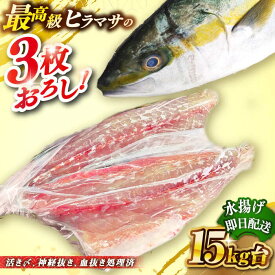 【ふるさと納税】壱岐島産天然ヒラマサ（15キロ台・三枚おろし） 《壱岐市》【壱岐島　玄海屋】[JBS084] ヒラマサ 魚 刺身 煮物 カルパッチョ お寿司 280000 280000円 28万円 のし プレゼント ギフト 冷蔵配送