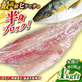 楽天市場 ヒラマサ 天然の通販