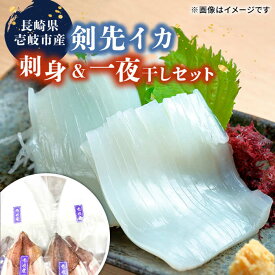 【ふるさと納税】 剣先イカ 刺身 一夜干し セット 玄界灘 一本釣り (合計600g以上) アニサキス処理済 《壱岐市》【一支國屋】[JCC009] ケンサキイカ いか イカ 烏賊 刺し身 お刺身 干物 ひもの 海鮮 魚介 おつまみ