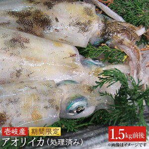 yӂ邳Ɣ[ŁzAICJiCJj1,500gO [JCG019] CJ  AICJ hg hg N Q\  28000 28000~ ̂ v[g Mtg Ⓚz