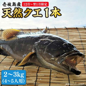 yӂ邳Ɣ[Łzys\zy12`1z VR NG ۂ 1{ 2`3kgiEhg4`5lpjy2025N12ȍ~zsstyۘaYz [JCJ023] NG  ①  CN N hg