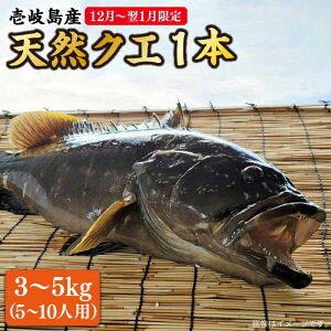 yӂ邳Ɣ[Łzys\zy12`1z VR NG ۂ 1{ 3`5kgiEhg 5`10lpjy2025N12ȍ~z sstyۘaYz [JCJ024] NG  ①  CN N h