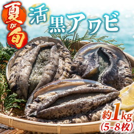 【ふるさと納税】活黒アワビ 旬 約1kg（5-8枚）《壱岐市》【丸和水産】[JCJ026] 50000 50000円