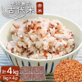 【ふるさと納税】古代米 赤米 4kg （1kg入り × 4袋） 壱岐島の古代米 原の辻遺跡《壱岐市》【天下御免】 [JDB123] 17000 17000円