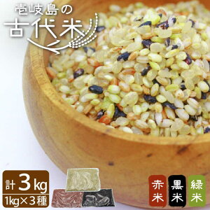 yӂ邳Ɣ[Łzys\zÑ  ԕ Ε v3kg (3e1kg) ̒҈Ձy2025N11{ȍ~zsstyVƁz [JDB126] 17000 17000~