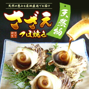 yӂ邳Ɣ[Łz`̃^ TUĜڏĂ 6pbN@yTCYEIszjsstyVƁz[JDB396]