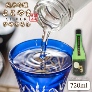 yӂ邳Ɣ[Łzċ悱SILVER Ђ₨낵 720ml R dƎ 茧  [JDB023]  ݔ ̂ v[g Mtg 10000 10000~ ̂ v[g Mtg ①z