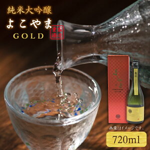 yӂ邳Ɣ[Łzđ 悱GOLD 720mli16xjsstyVƁz[JDB047]   {  dƎ Mtg hV̓ ̂ Mtg v[g 15000 15000~ ①z