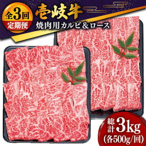 yӂ邳Ɣ[ŁzyS3ցz  ēZbgi[X500gEJr500gj [JDD015] Ⓚz јa A5N   a Ԑg [X Jr ē Zbg Hה BBQ ēp 153000 15300