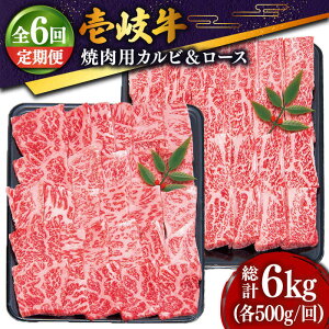 yӂ邳Ɣ[ŁzyS6ցz  ēZbgi[X500gEJr500gj [JDD016] Ⓚz јa A5N   a Ԑg [X Jr ē Zbg Hה BBQ ēp 306000 30600