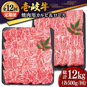 yӂ邳Ɣ[ŁzyS12ցz  ēZbgi[X500gEJr500gj [JDD017] Ⓚz јa A5N   a Ԑg [X Jr ē Zbg Hה BBQ ēp 612000 6120